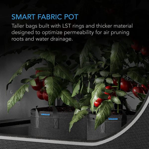 Heavy Duty Fabric Pots, 3.4 Gallons (12.87 Litres) By AC Infinity - Single Pot