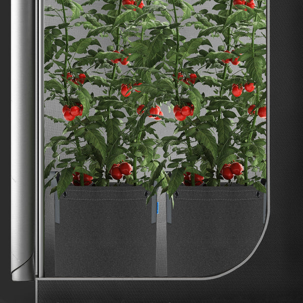 Heavy Duty Fabric Pots, 3.4 Gallons (12.87 Litres) By AC Infinity - Single Pot