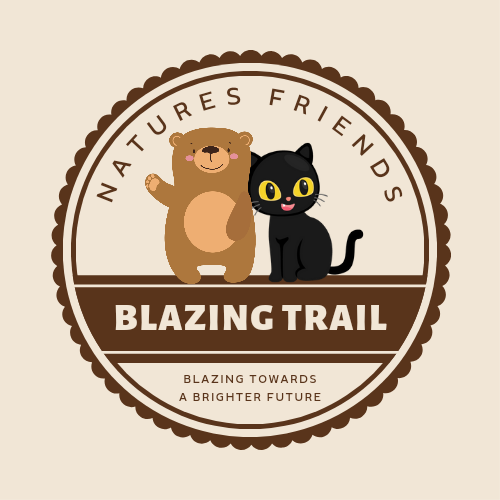 Blazing trail