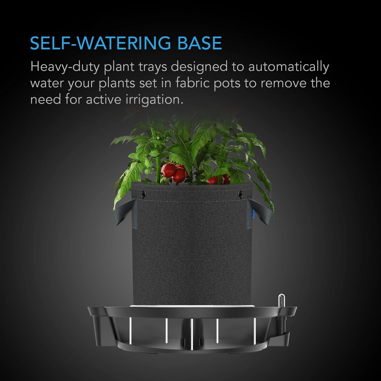Self-watering Fabric pot base - 5 Gal / 20L Suited - Single Item