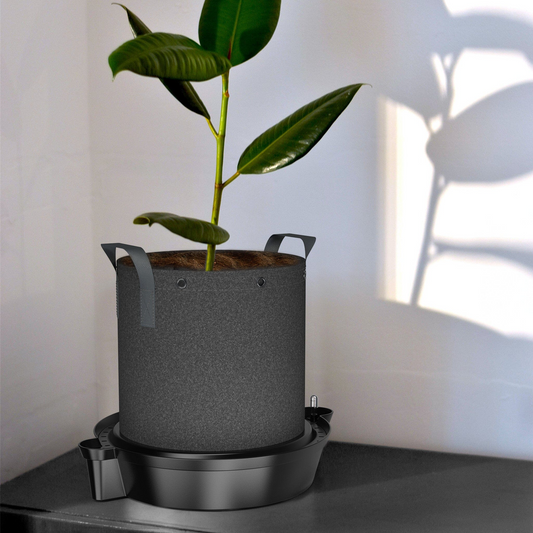 Self-watering Fabric pot base - 5 Gal / 20L Suited - Single Item