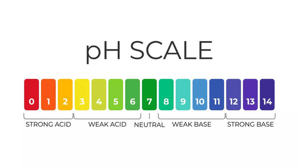 Cheers To Hydration And The Beauty Of Balance - Potential Hydrogen (pH)