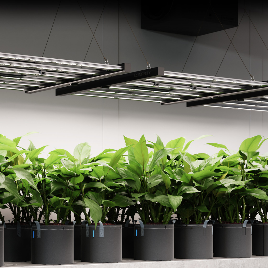 Illuminating Indoor Gardening: Understanding PPFD for Flourishing Plants