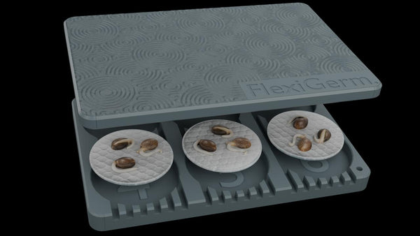 Discover FlexiGerm by Seed Starter: The Ultimate Seed Germination Solution